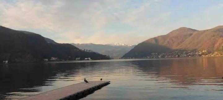 Rifugio Sul Lago Di Lugano A Porto Ceresio Extérieur photo